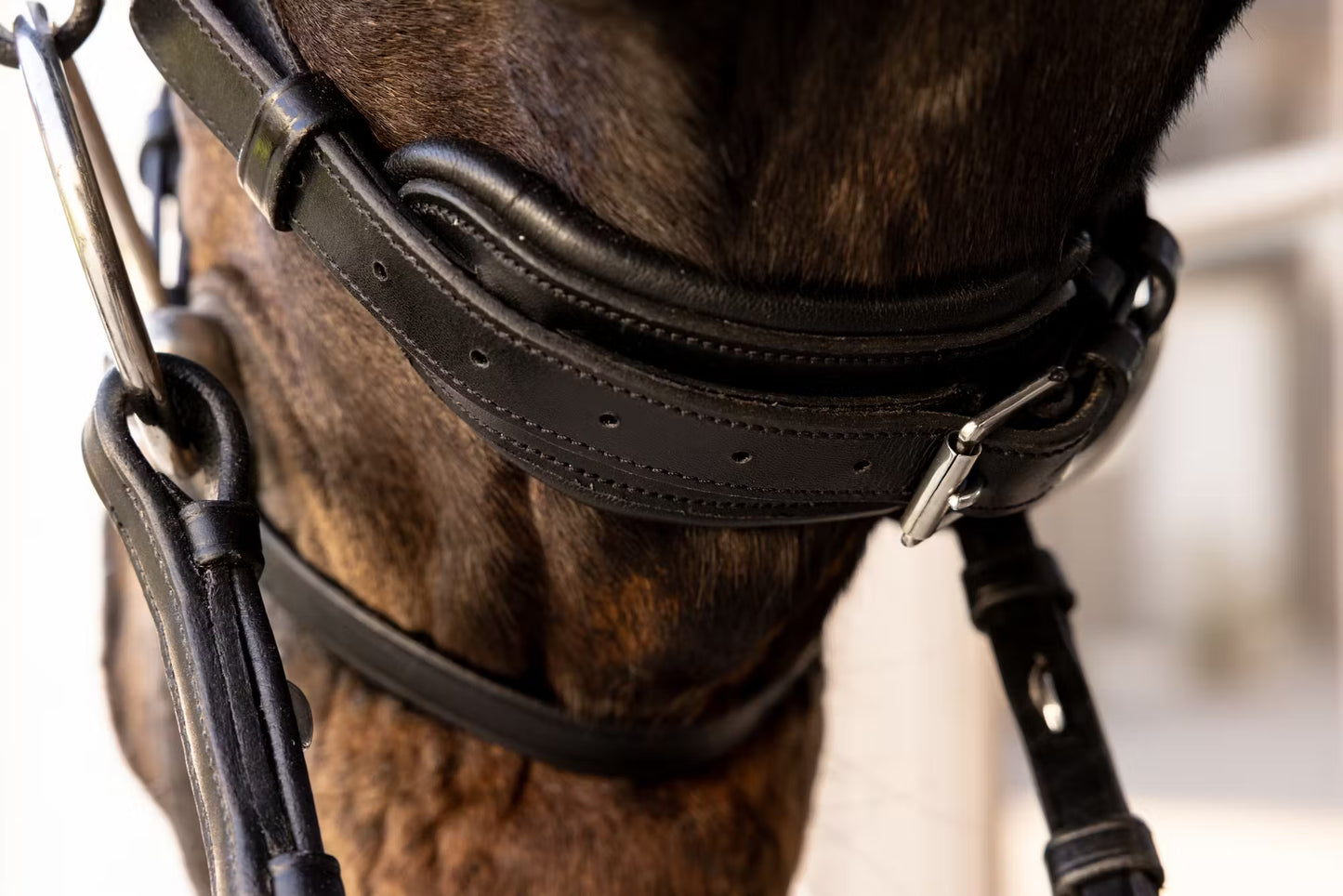 Dy'on ComfoHead Bridle