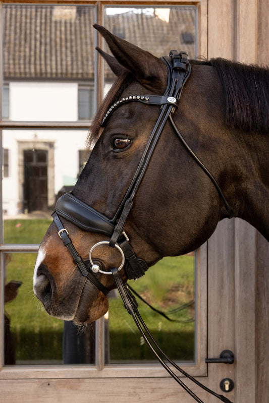 Dy'on ComfoHead Bridle