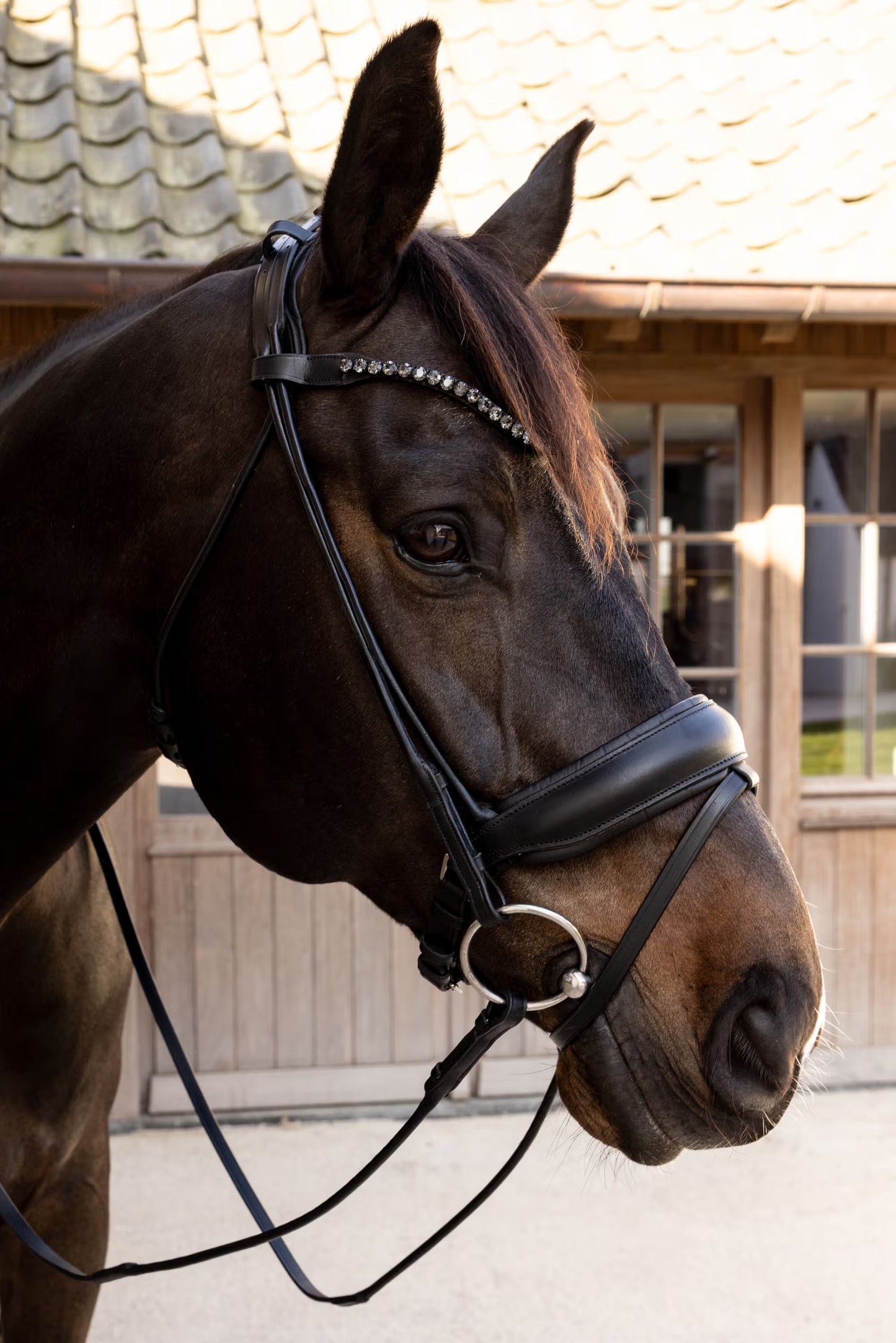 Dy'on ComfoHead Bridle