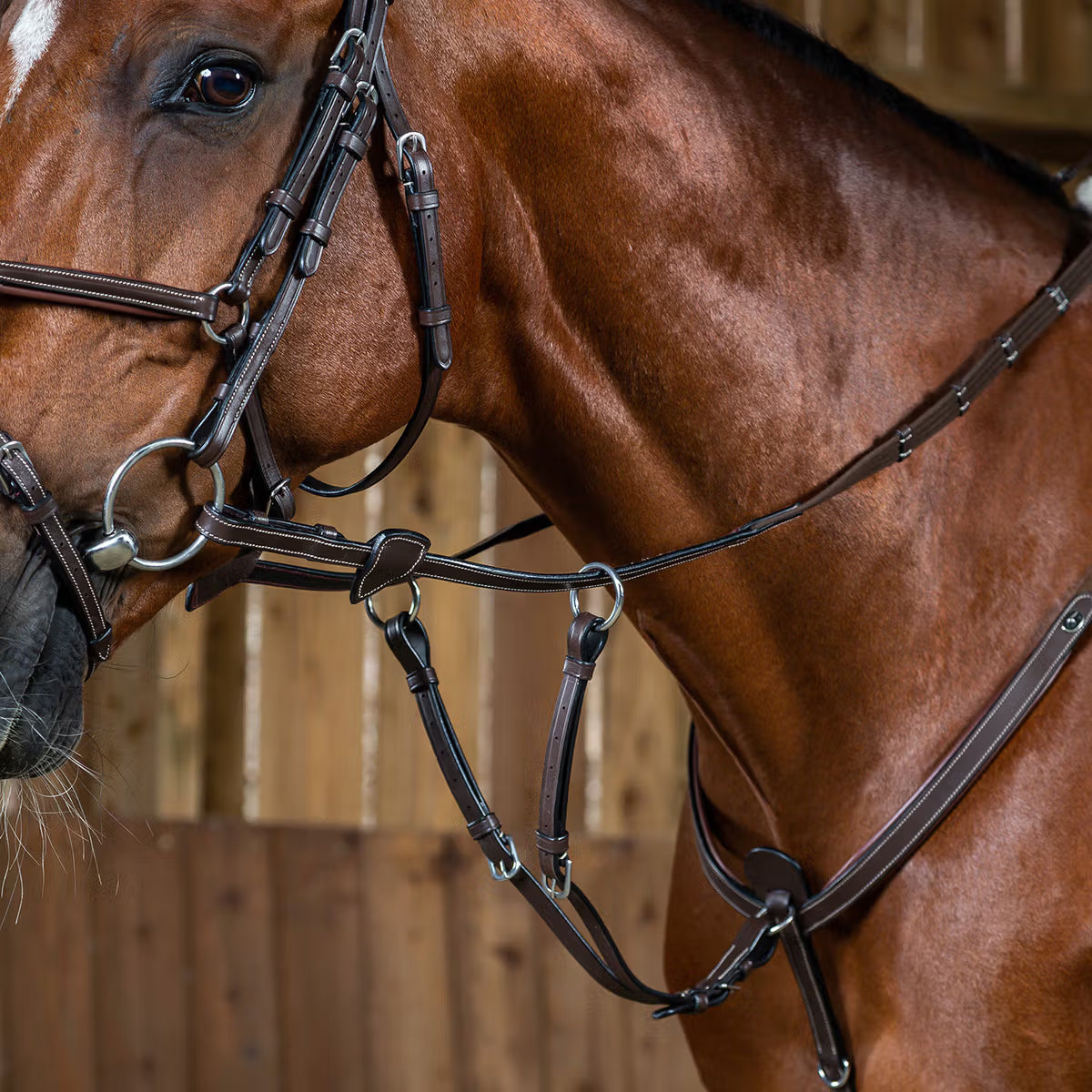 Dy'On Running Martingale Attachment - Working by Dy'on