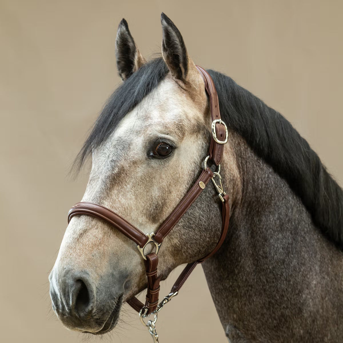 Dy'On Soft Leather Halter