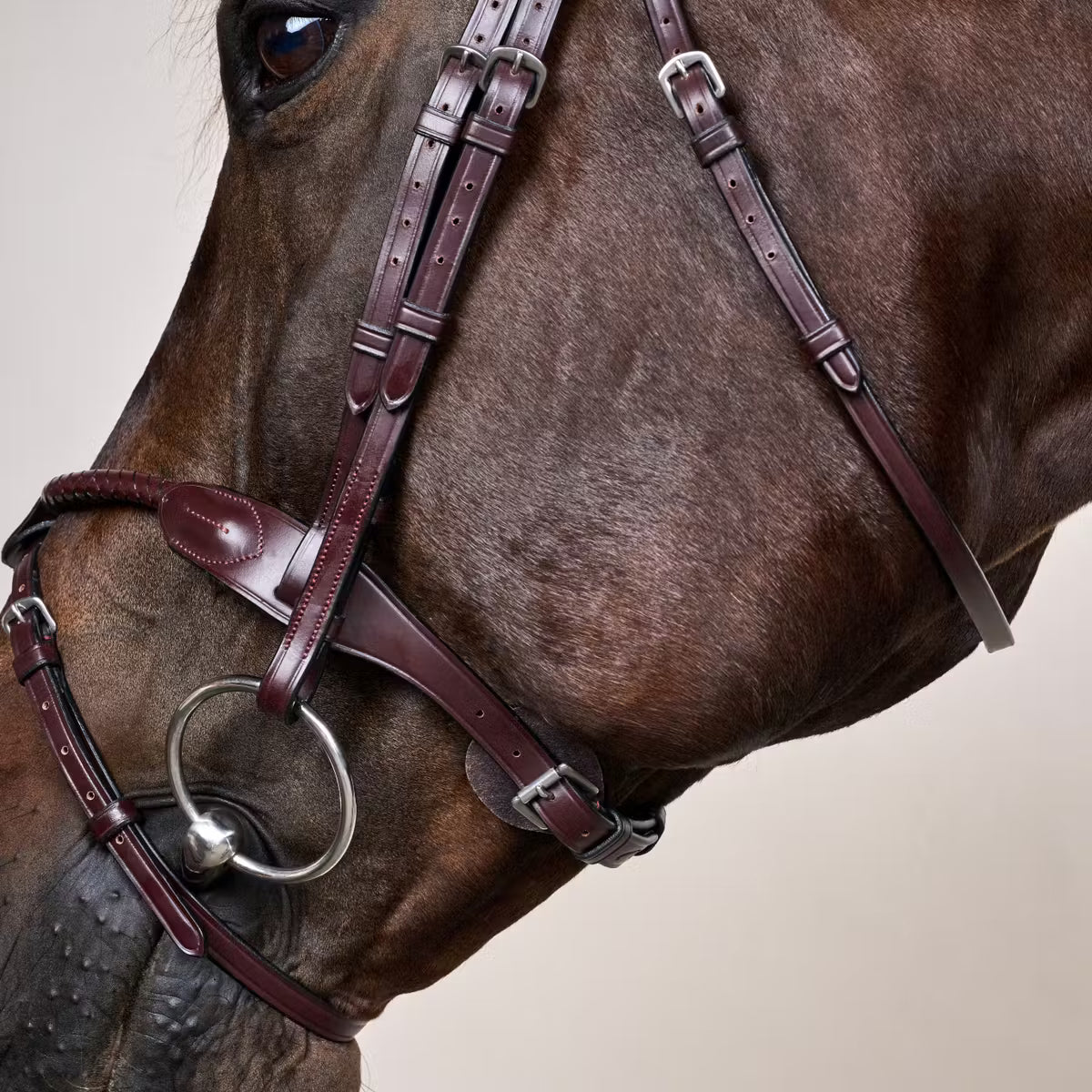 Dy'On Braided Noseband Bridle with Removable Flash - New English Collection