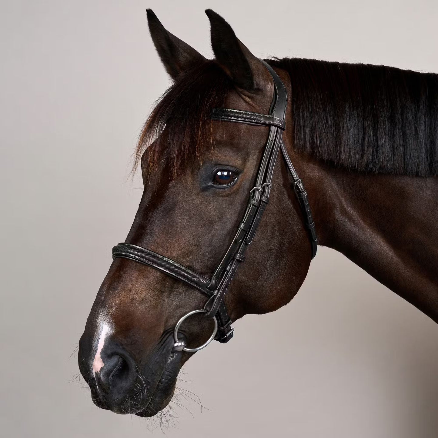 Dy'on Plaited Noseband Bridle without Flash - New English Collection