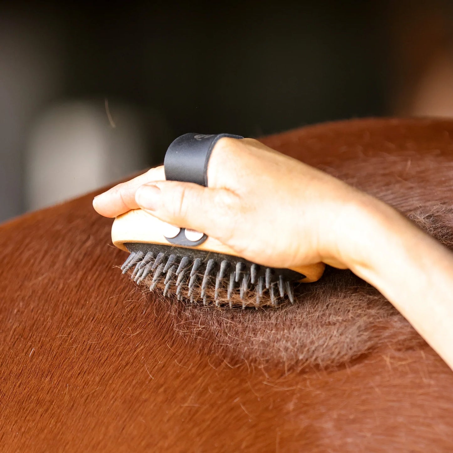 Ippico Equestrian "Swift" Curry Comb