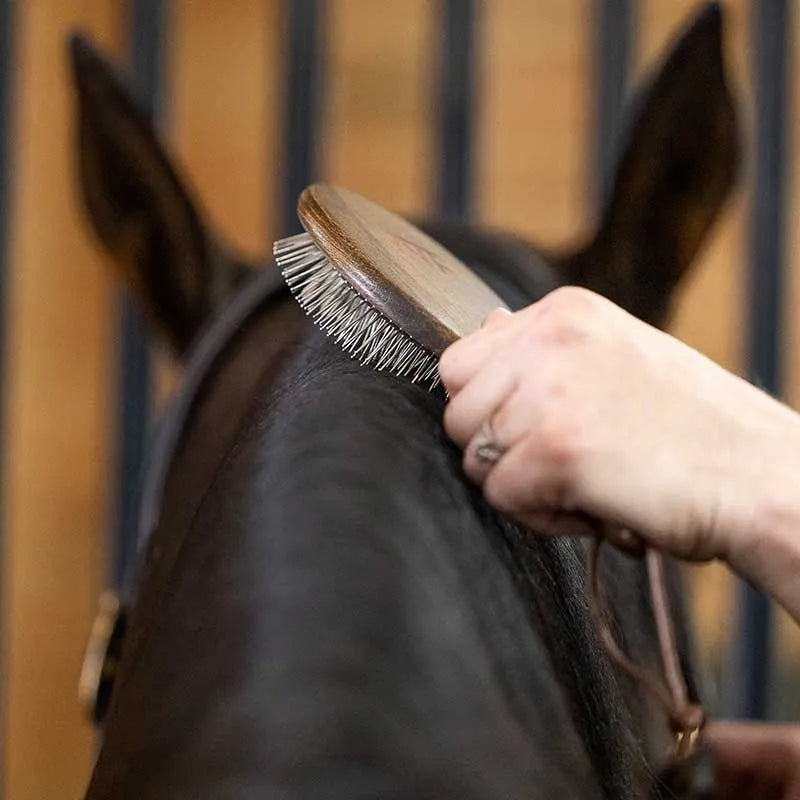 NTR Caress Mane & Tail Brush