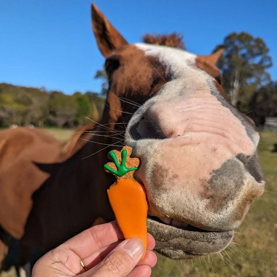 Huds and Toke Carrot Cookies