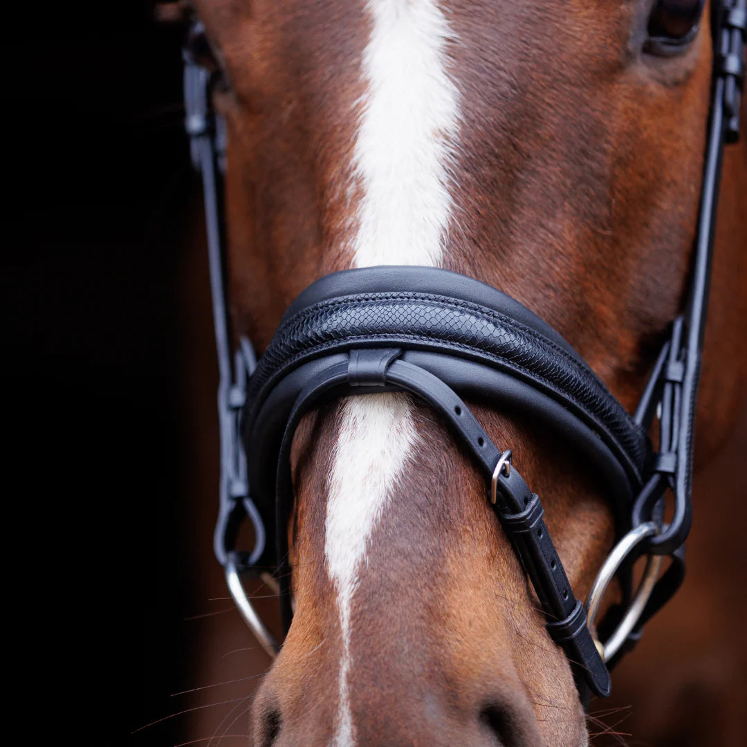 SD Design Hauso Bridle - Black
