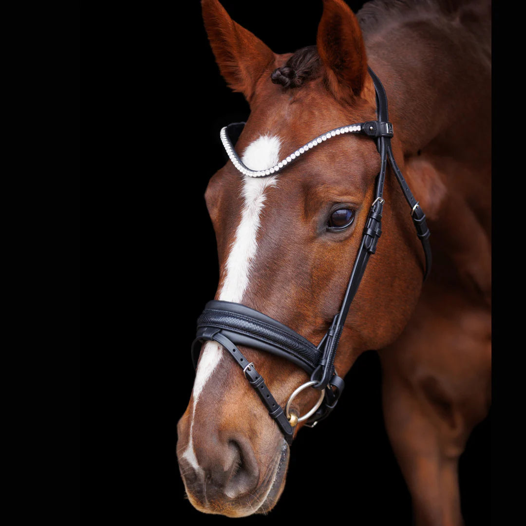 SD Design Hauso Bridle - Black