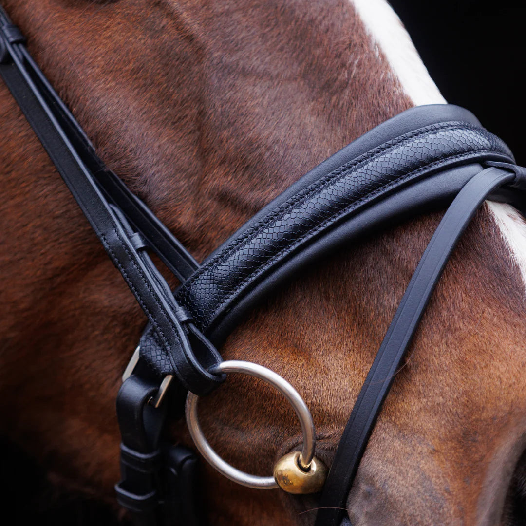 SD Design Hauso Bridle - Black