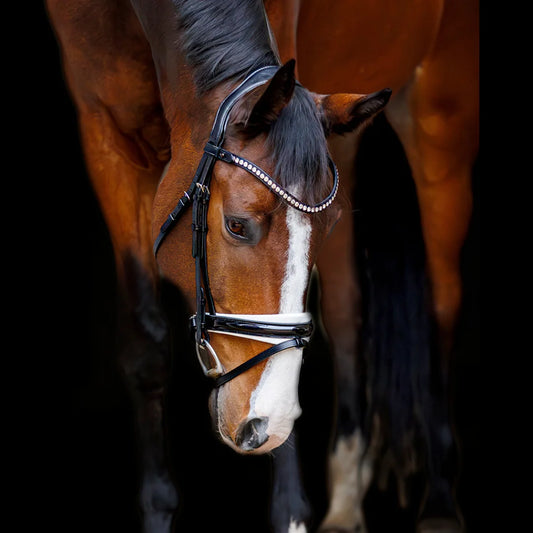 SD Design Marzog Anniversary Bridle Limited Edition - Black/White Patent