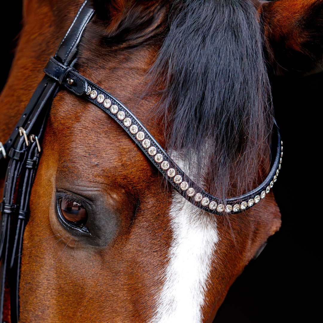 SD Design Marzog Anniversary Bridle Limited Edition - Black/White Patent