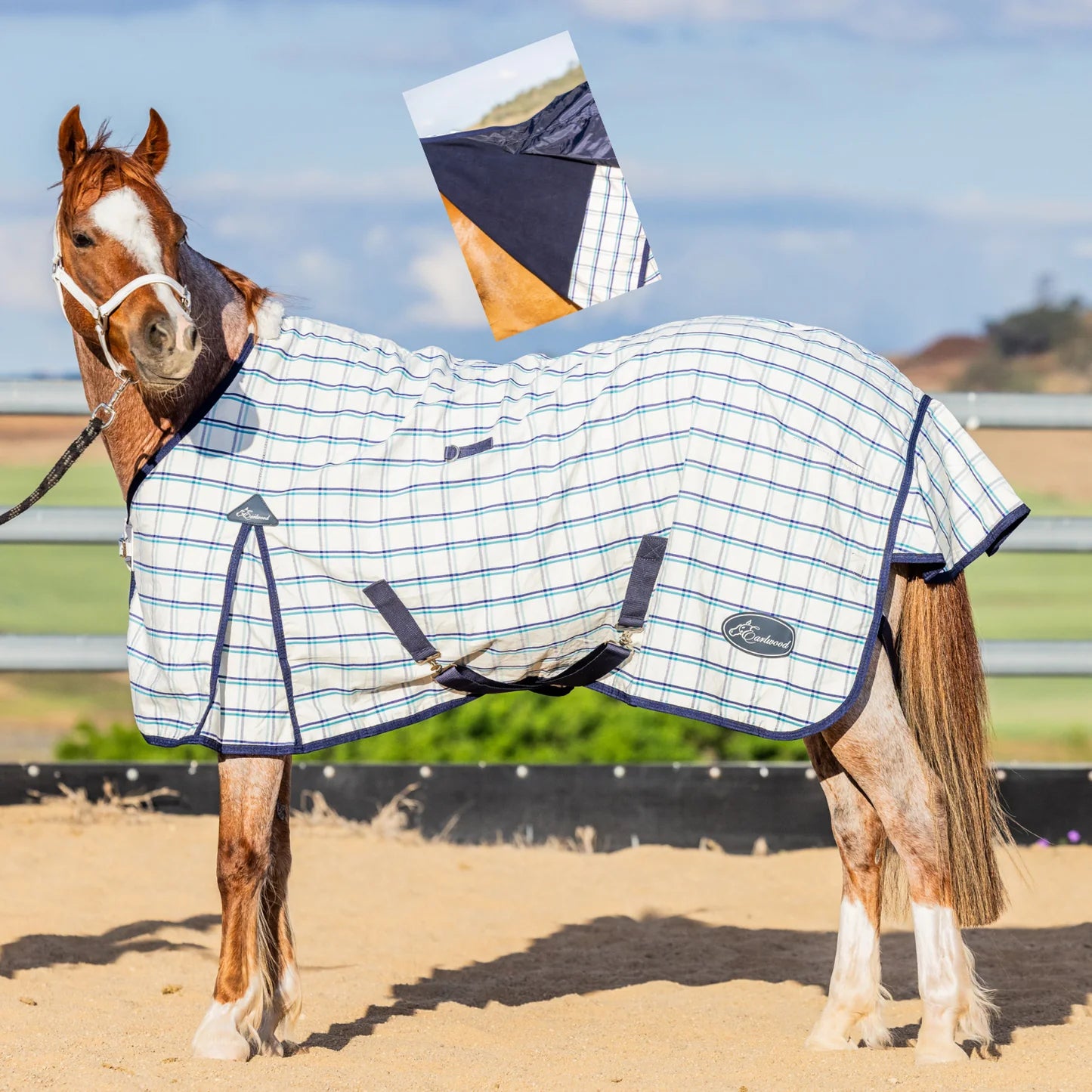Earlwood Dual Season Rug