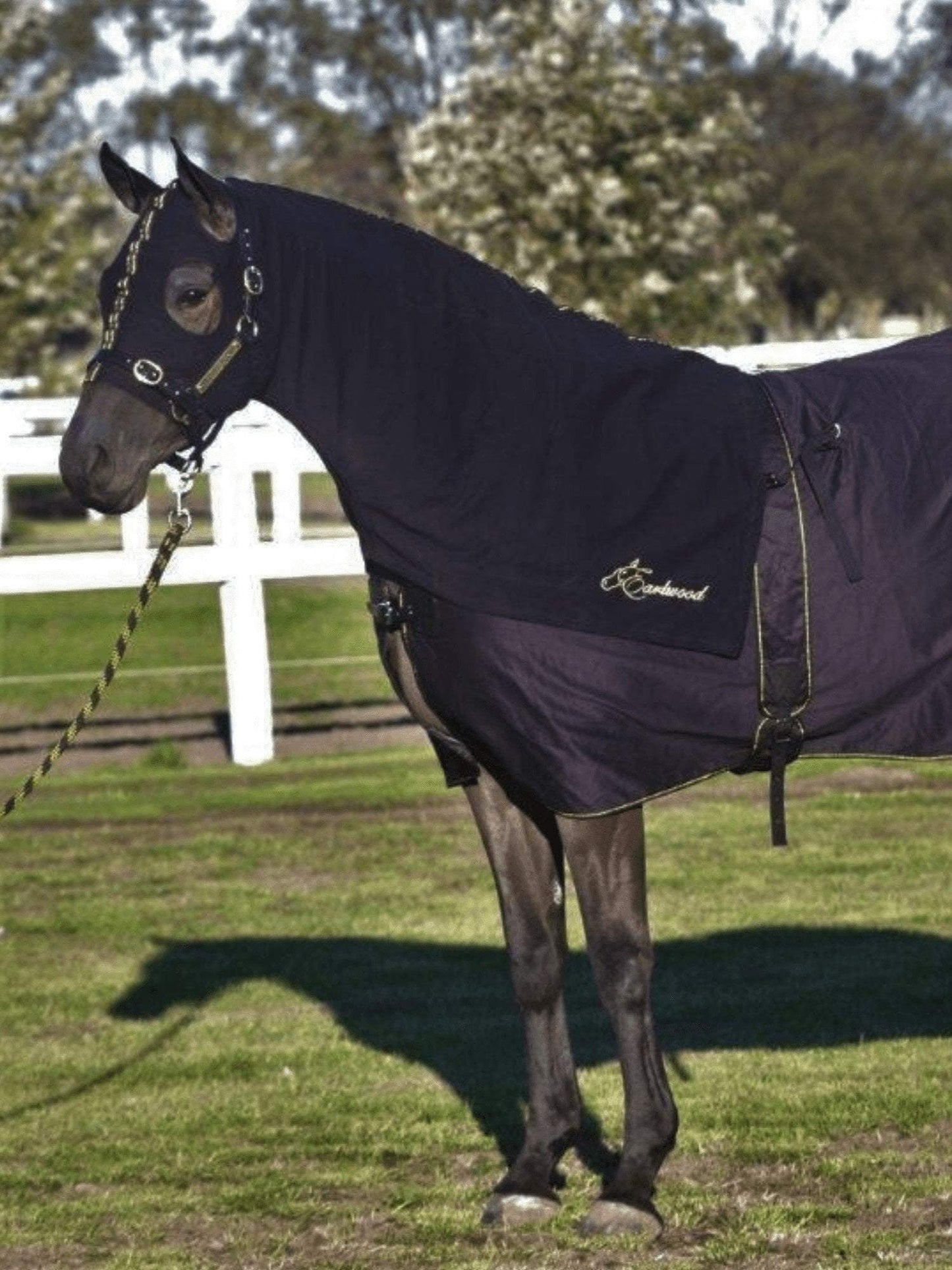 Earlwood Zip Hood