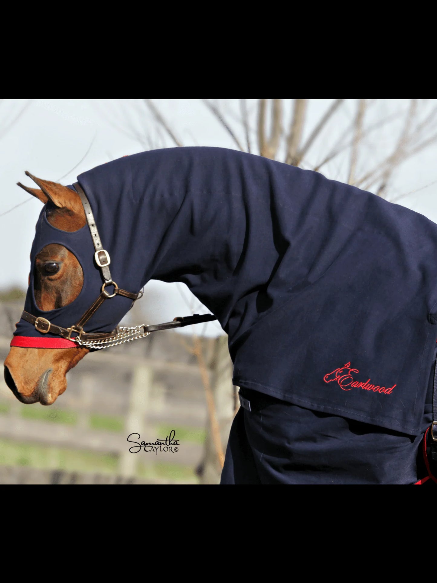 Earlwood Zip Hood
