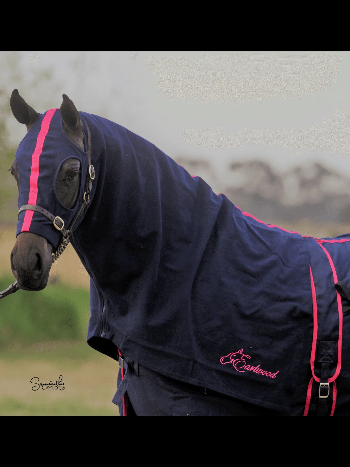 Earlwood Zip Hood