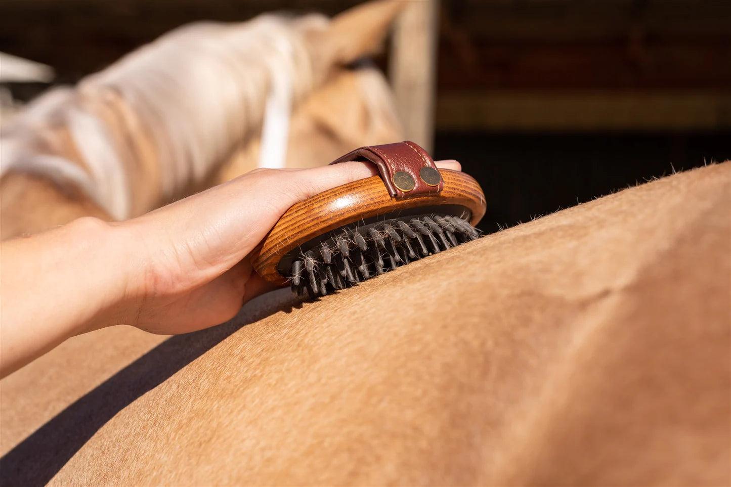 Hairy Pony Rubber Brush - Mini