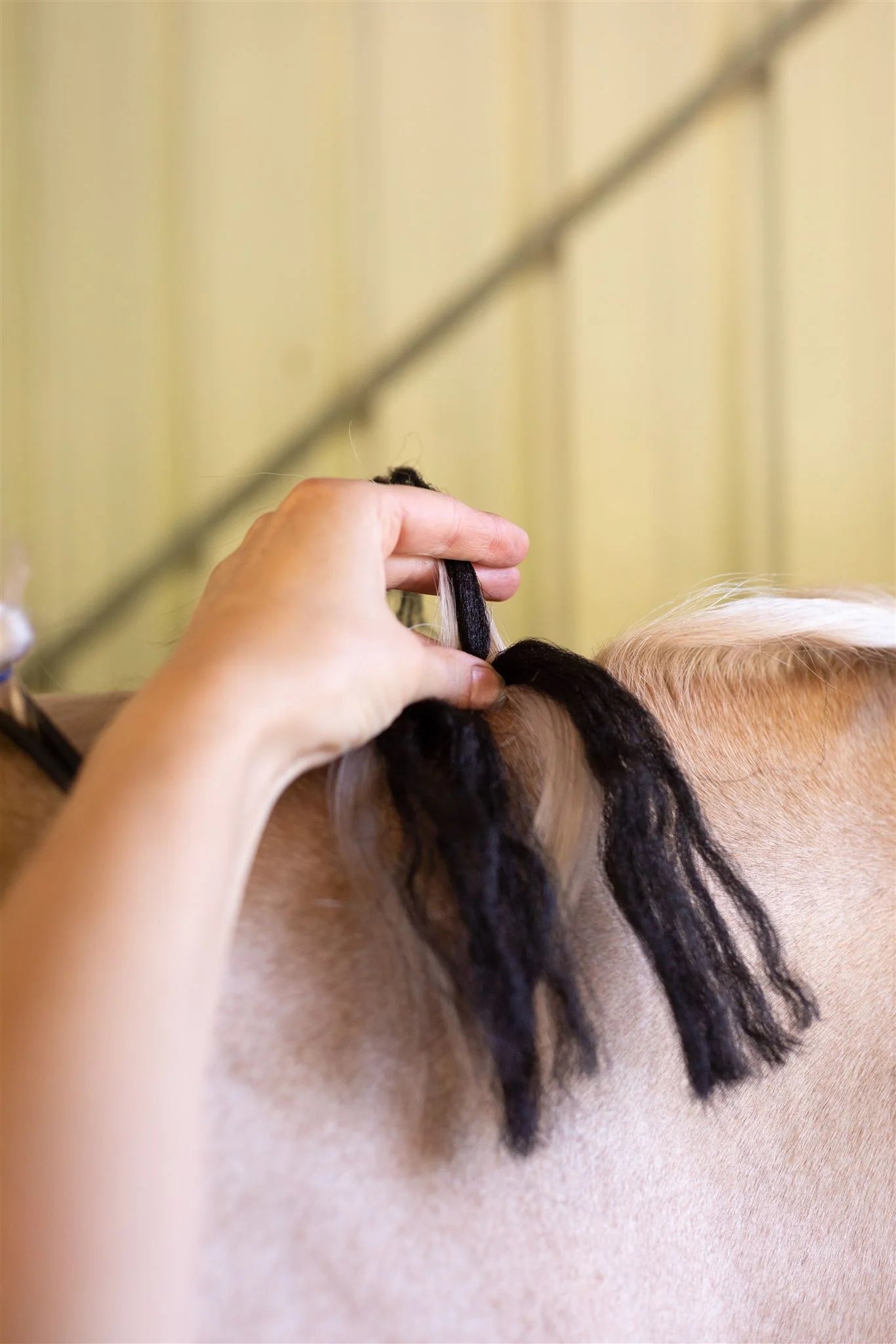 Hairy Pony Fake It