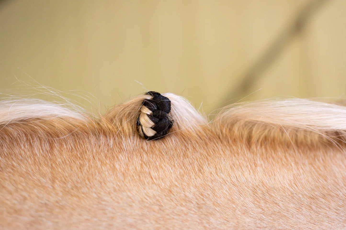 Hairy Pony Fake It