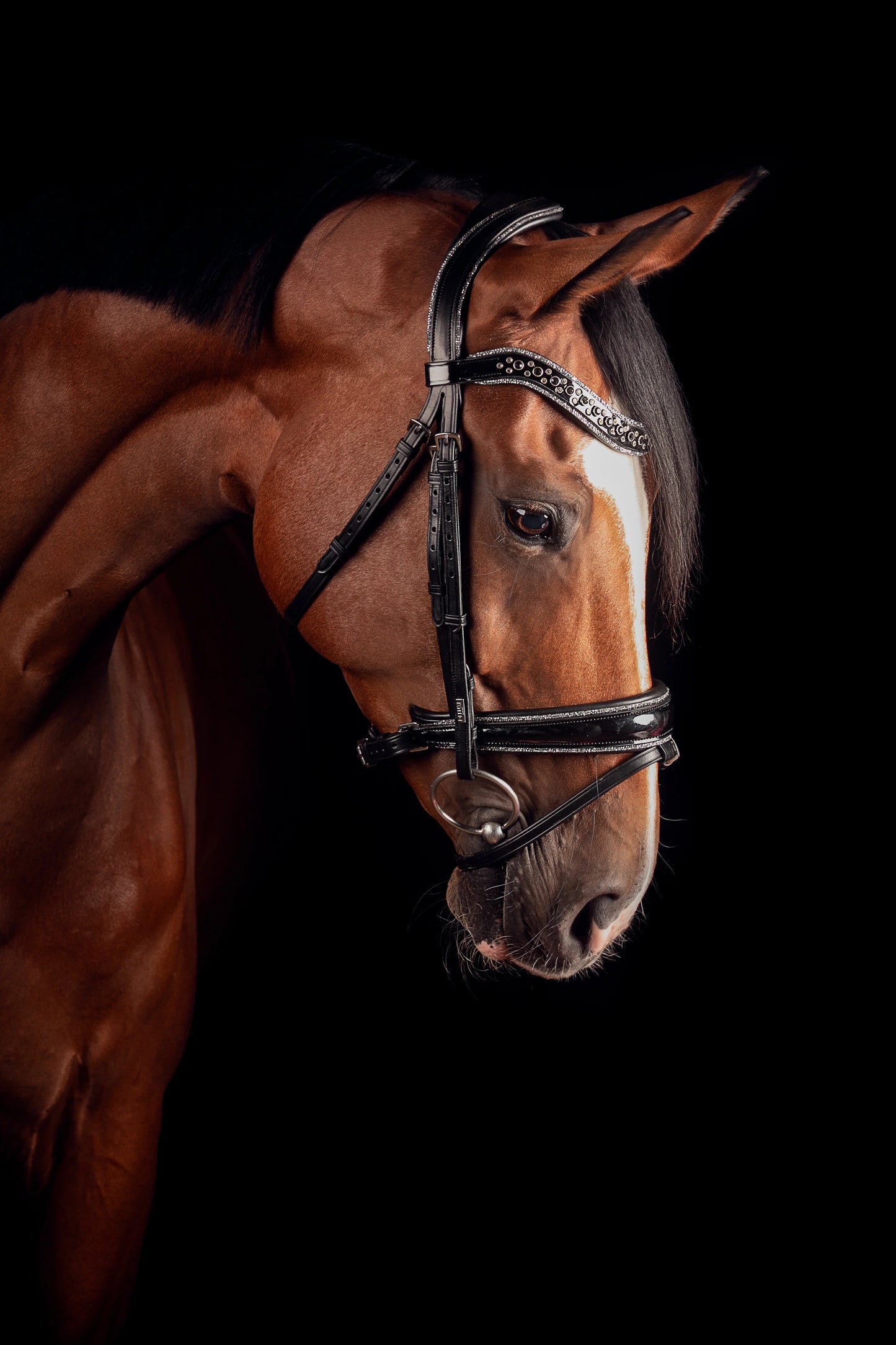 Mrs Ros Deluxe Johnny Silver Bridle TRENS