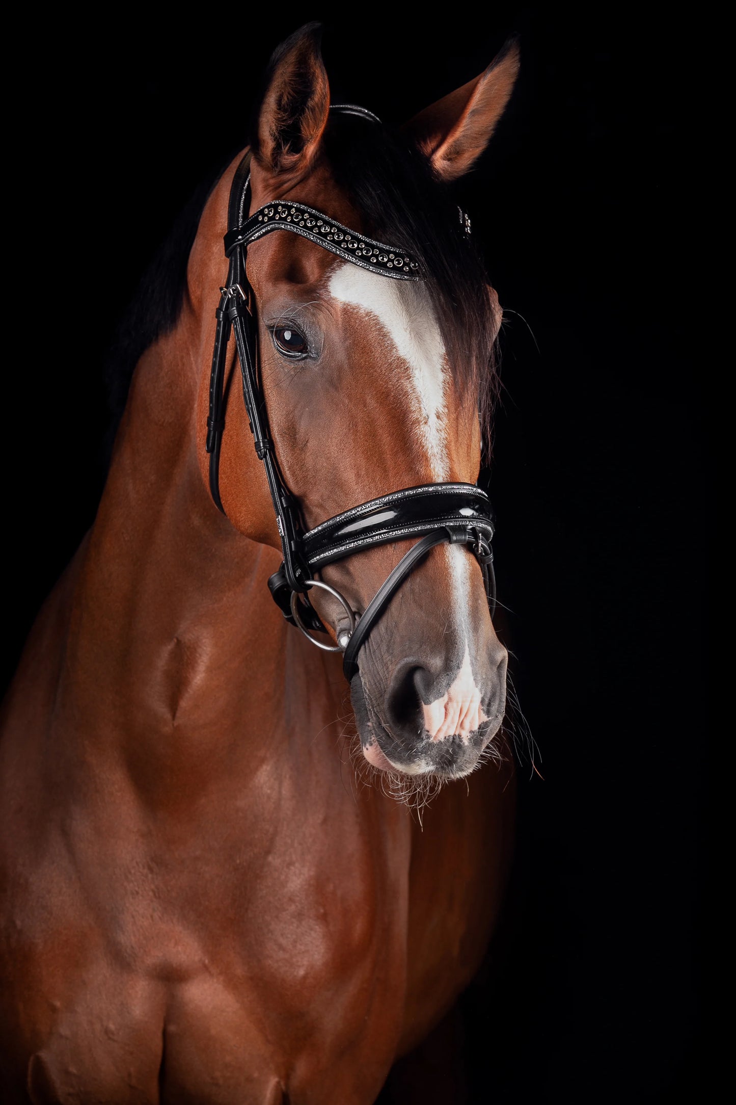 Mrs Ros Deluxe Johnny Silver Bridle TRENS