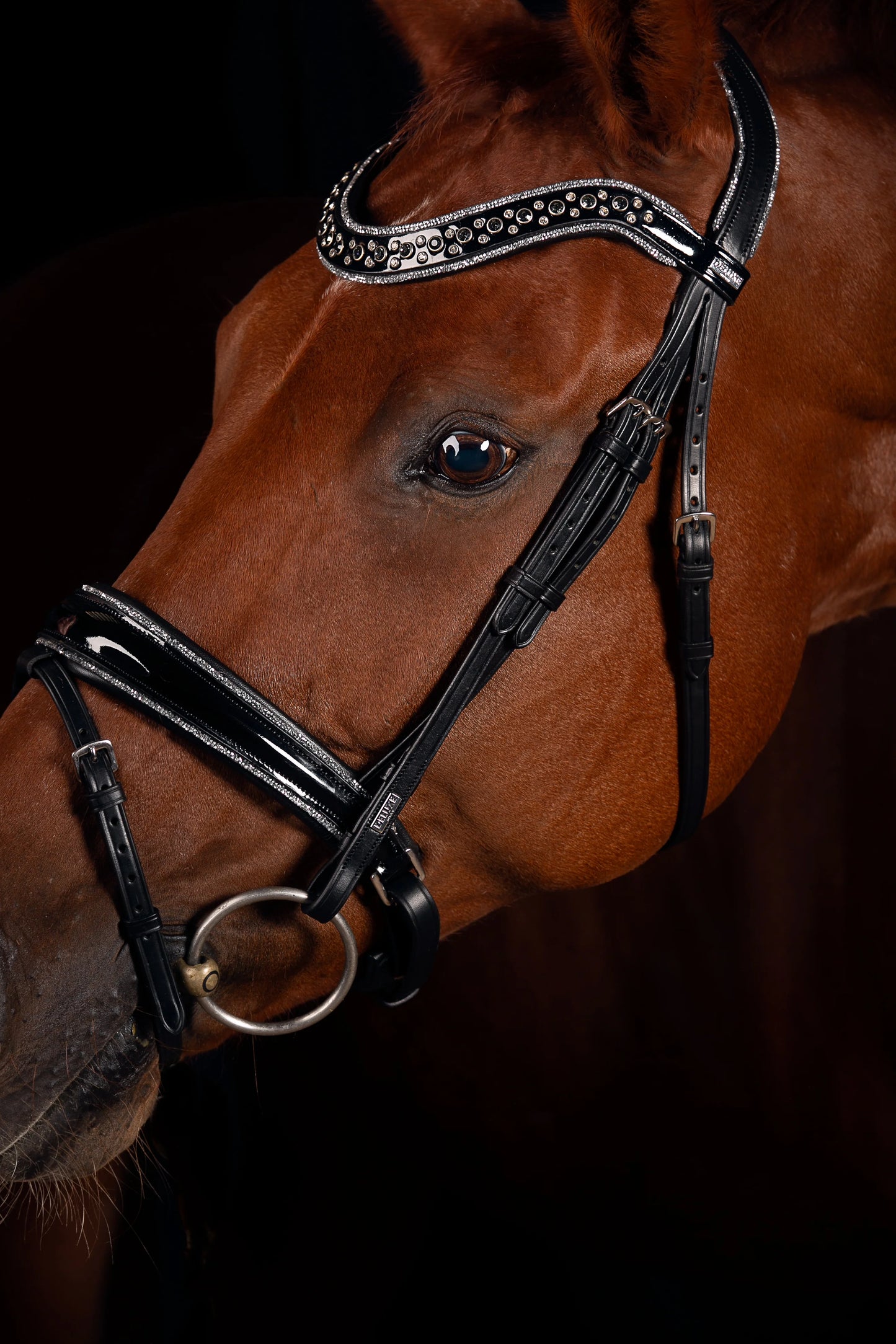Mrs Ros Deluxe Johnny Silver Bridle TRENS