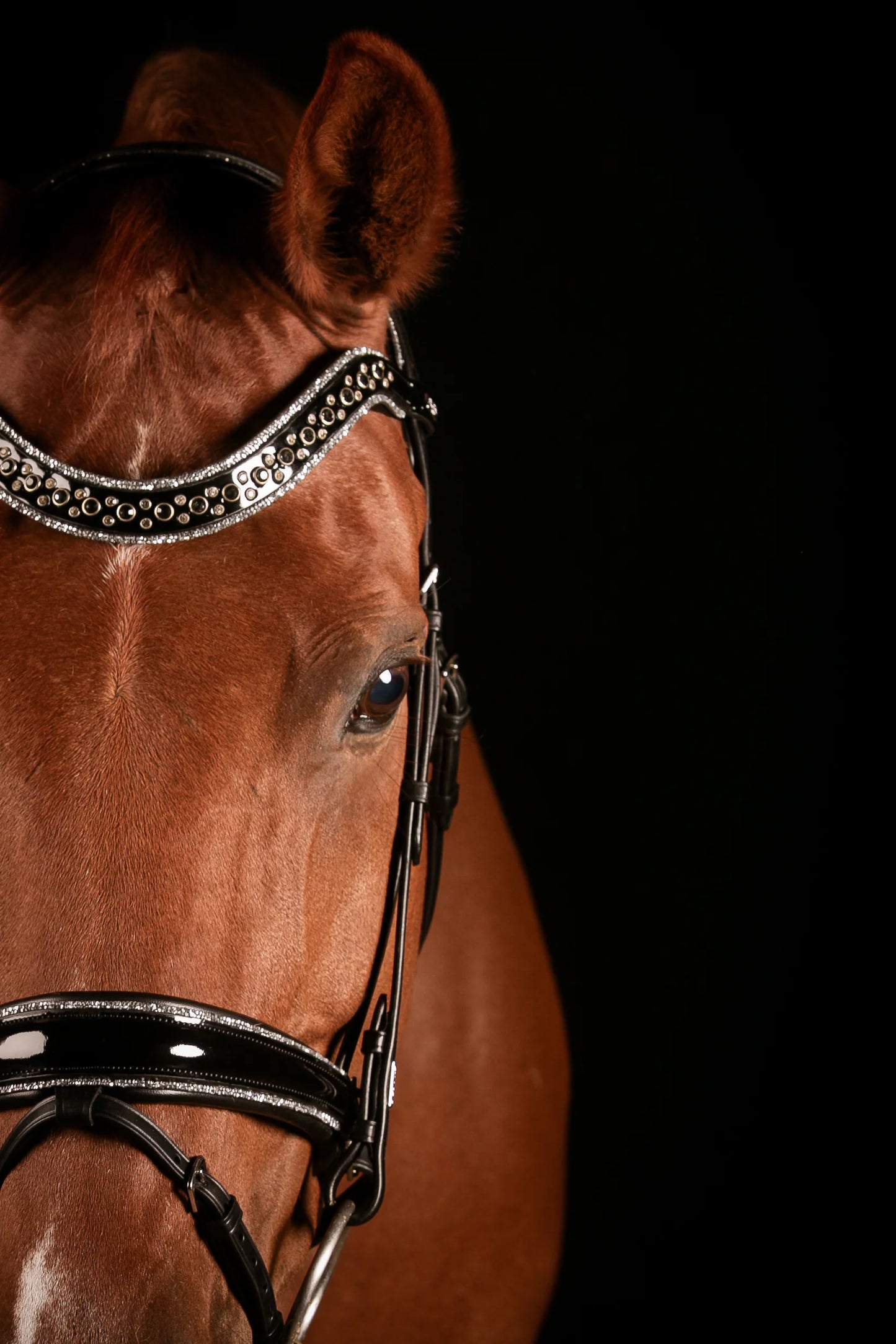 Mrs Ros Deluxe Johnny Silver Bridle TRENS