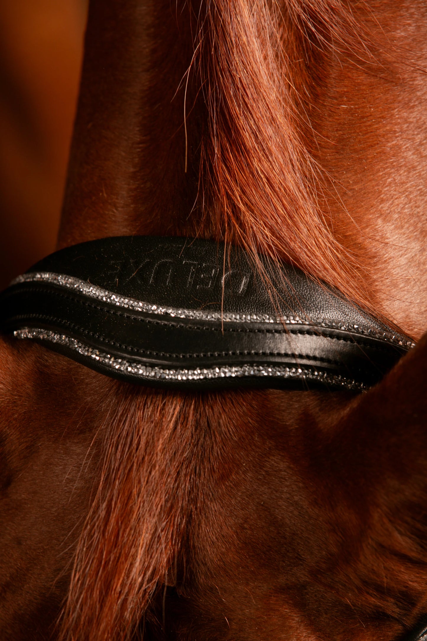 Mrs Ros Deluxe Johnny Silver Bridle TRENS