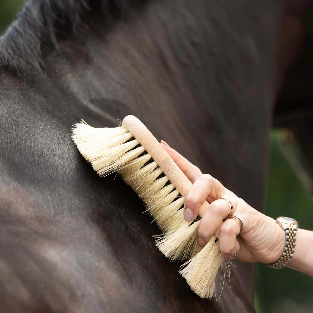 Borstiq Mex Soft Brush