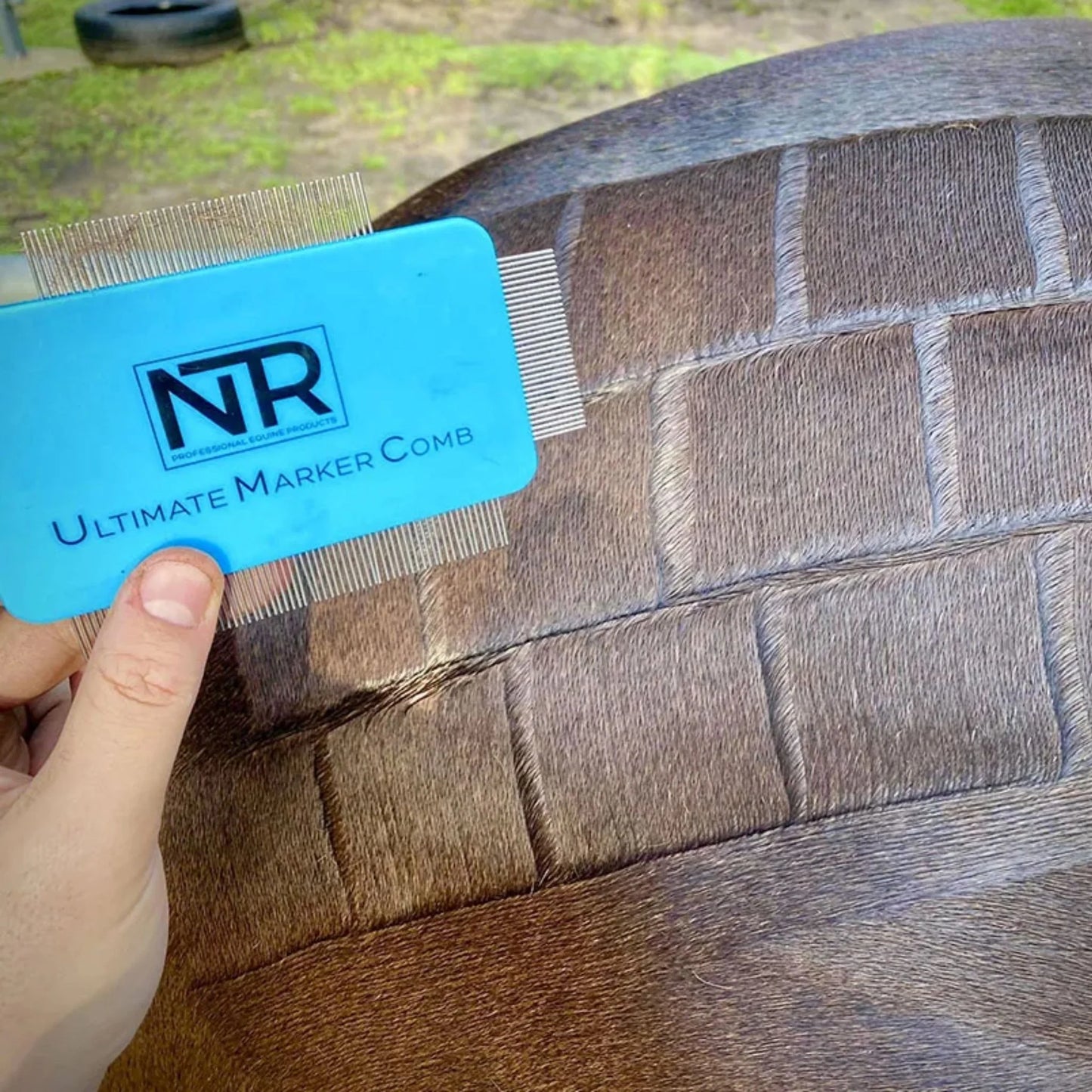 NTR Quarter Marker Kit