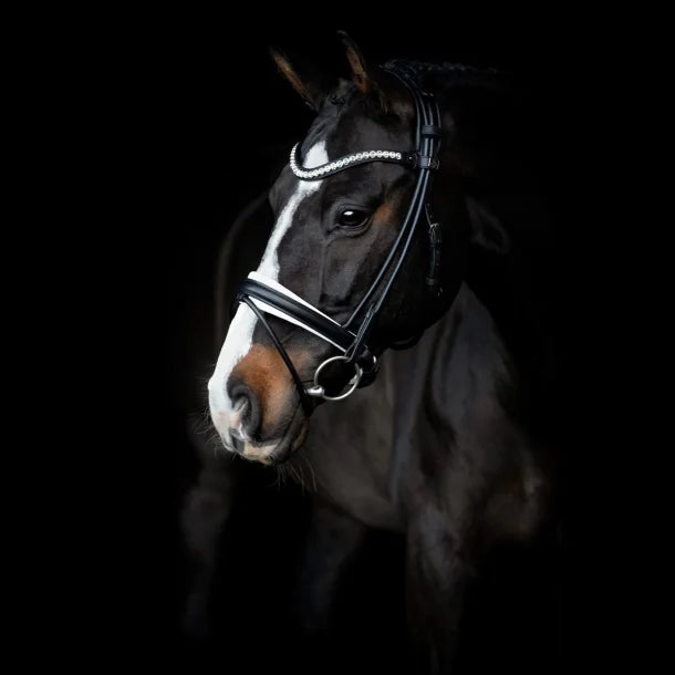 SD Design Duke De Niro II Rolled Bridle - Black/White