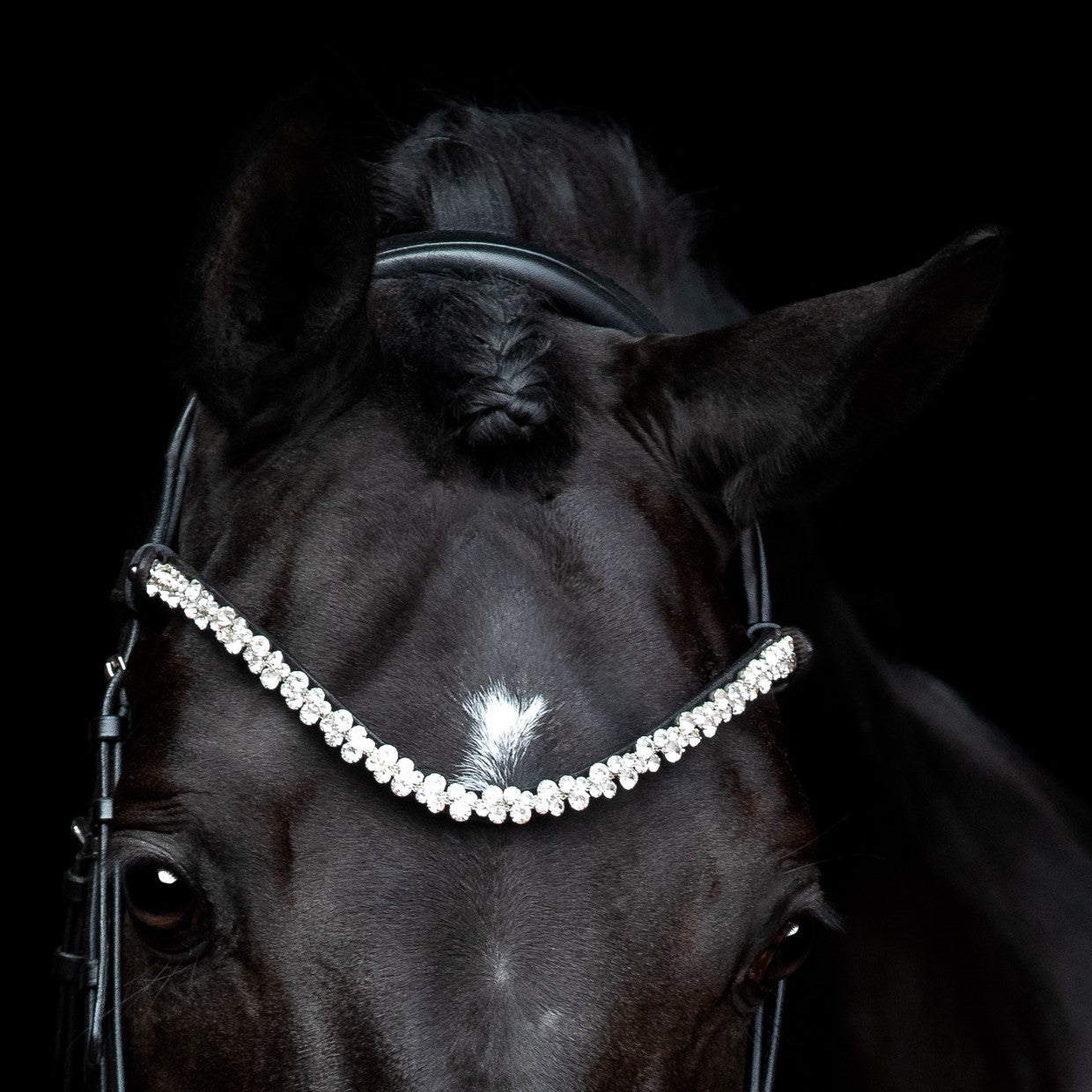 SD Design Romanov Browband - Black