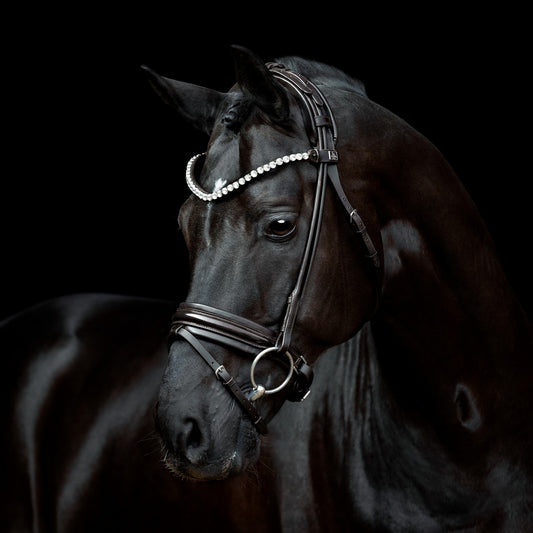 SD Design Zhivago Rolled Bridle - Black/Black Patent