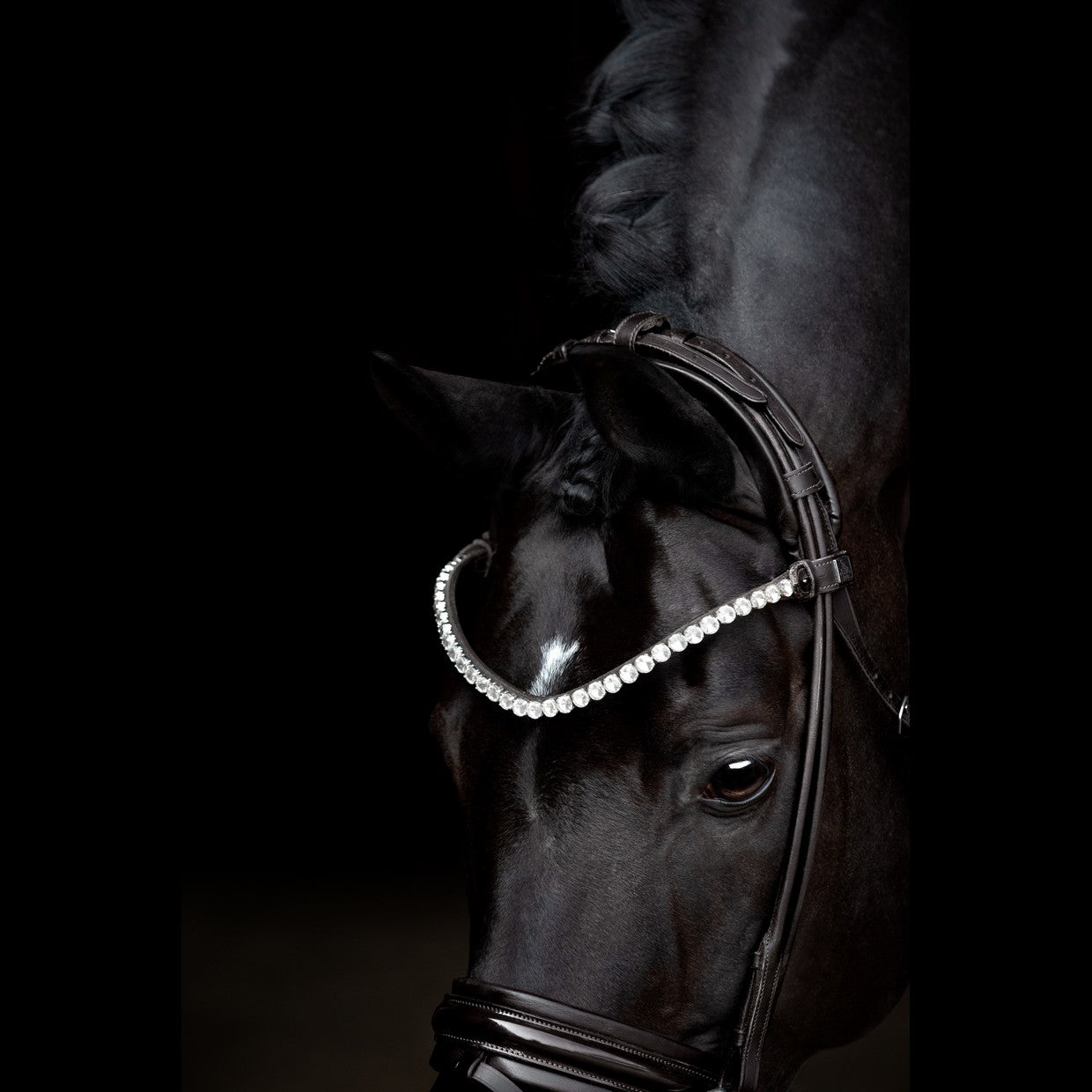 SD Design Zhivago Rolled Bridle - Black/Black Patent
