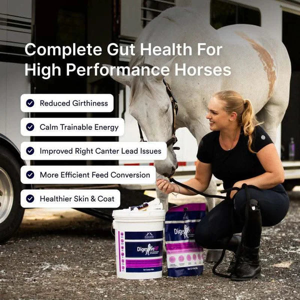 Poseidon Equine DigestiveHP