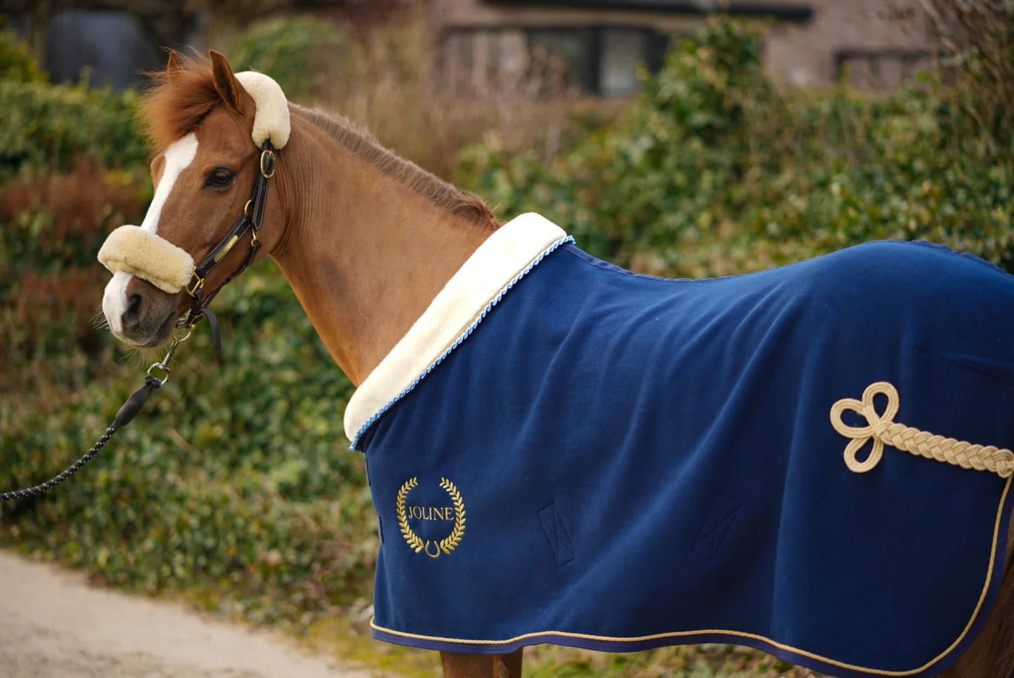 Joline PolarFleece Show Blanket - Blue