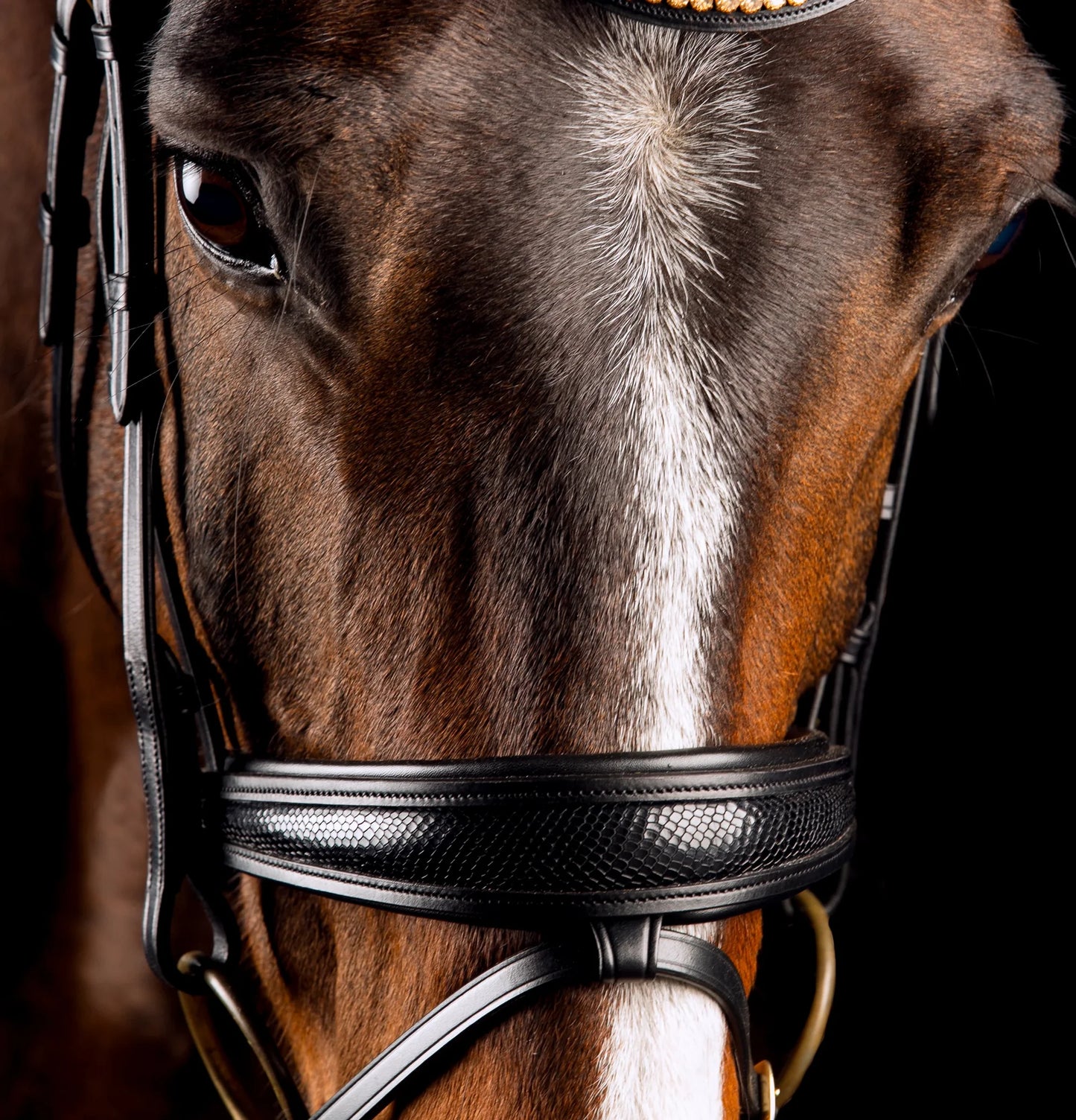 Mrs Ros Deluxe Bridle Knight Power Single Trens