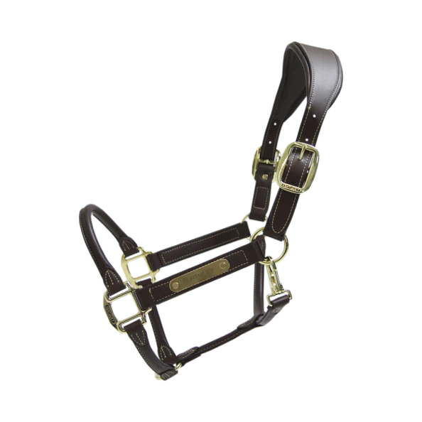Kentucky Anatomic Leather Halter