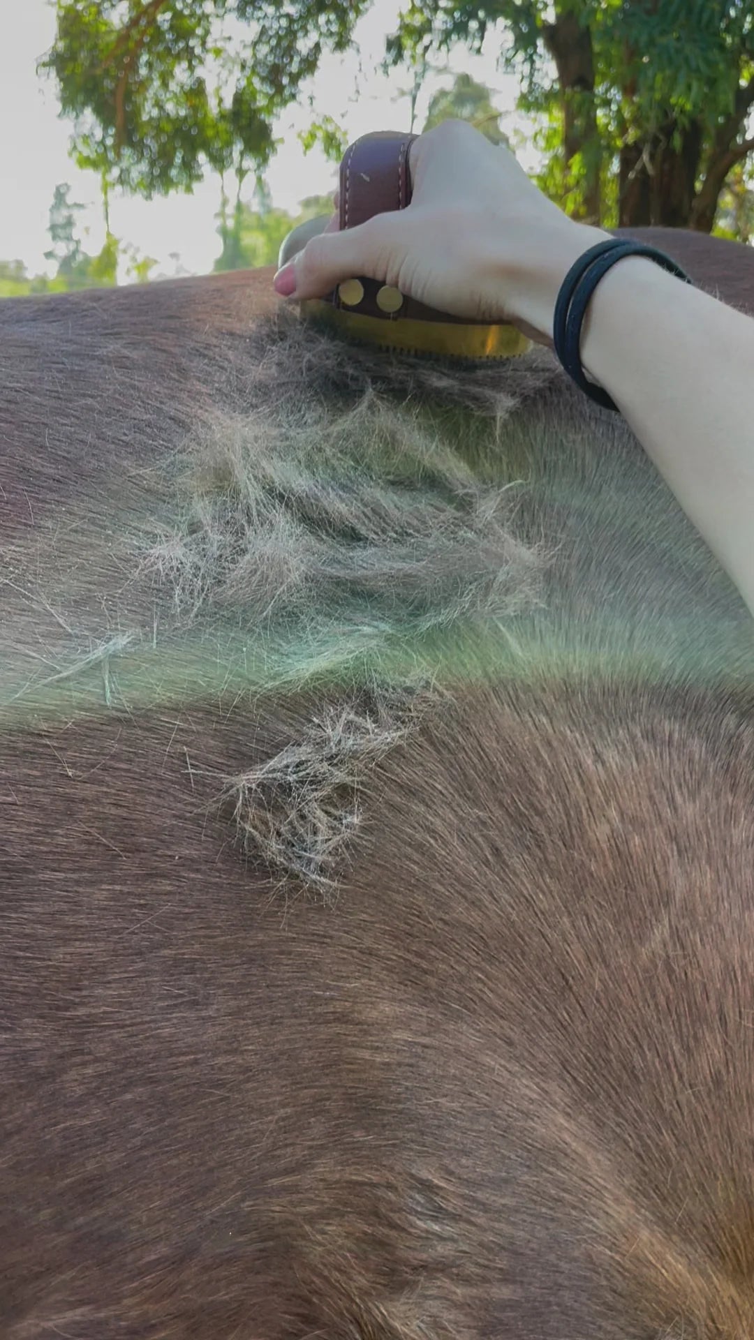 Hairy Pony Metal Brush