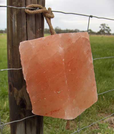 Minrosa Himalayan Salt Lick Block with Rope