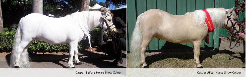 HSC Colour Kit