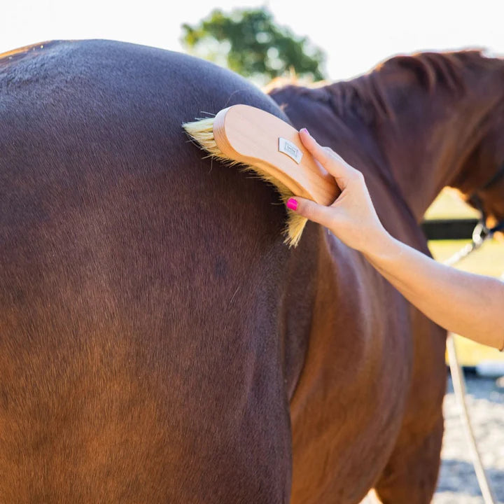 Ippico Equestrian - 'Dusty' Body Brush