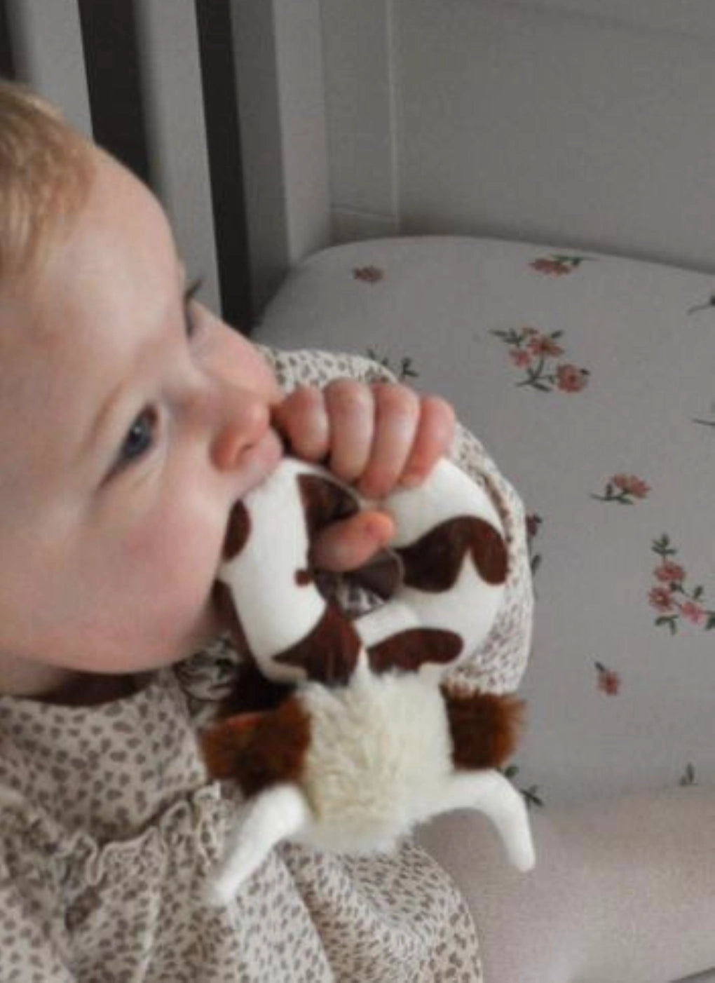 Jomanda Texas Longhorn Highland Brown Cow Baby Plush Rattle - 10cm