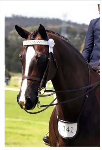 MP Gloss Mini-Stixx High Definition Makeup