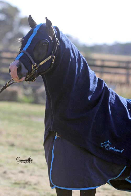 Earlwood Zip Hood