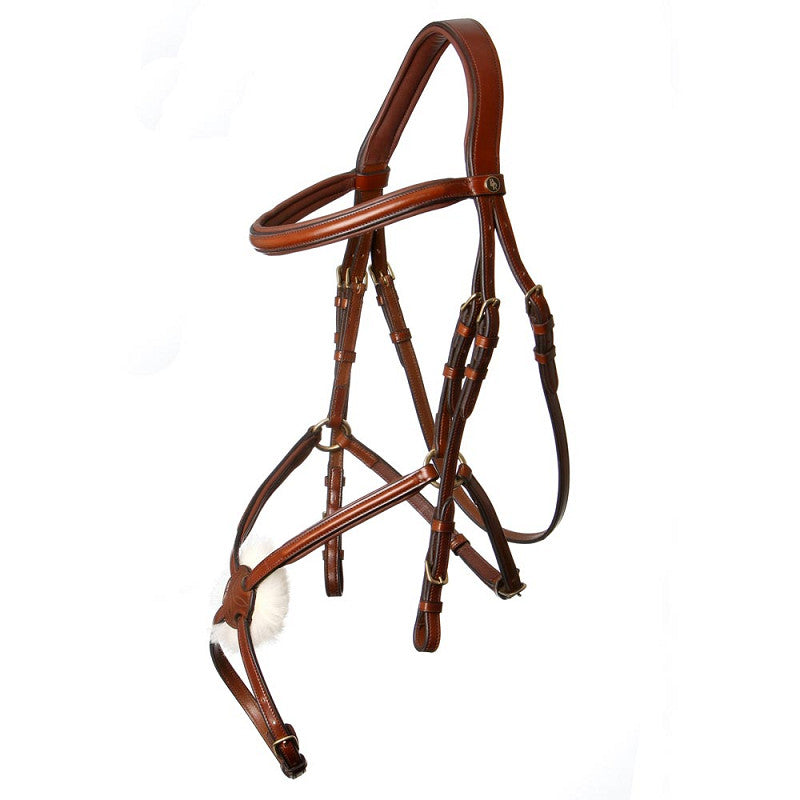 BR Grackle Bridle Grantham