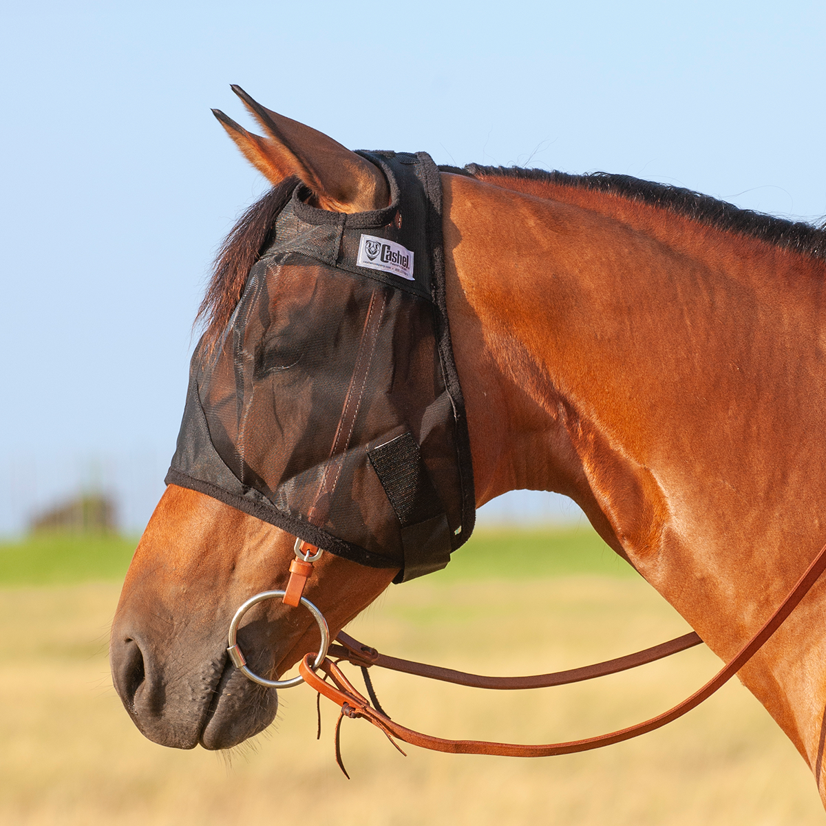Cashel Quiet Ride Fly Mask - Arab/Cob Size Only