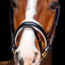 SD Design Marzog Anniversary Bridle Limited Edition - Black/White Patent