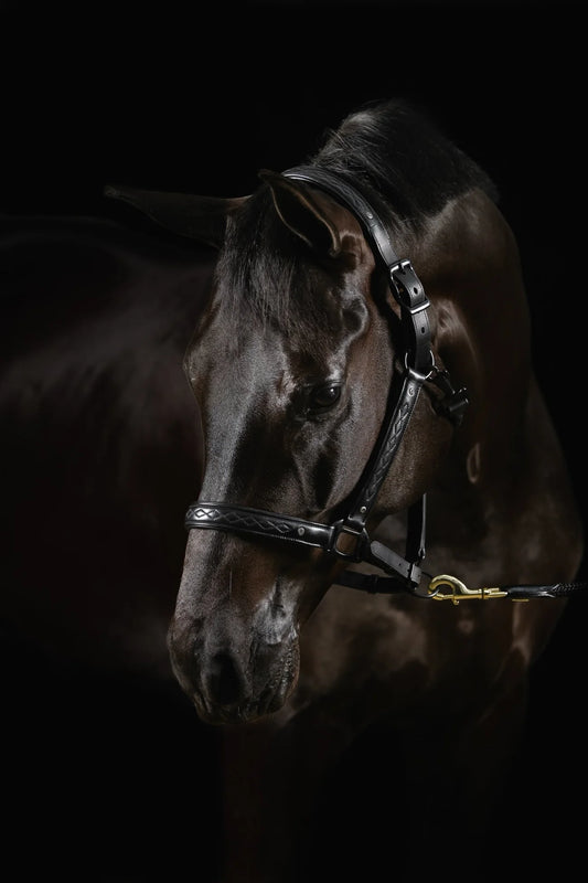 Mrs Ros Leather Halter Diamond Deluxe Movie Star