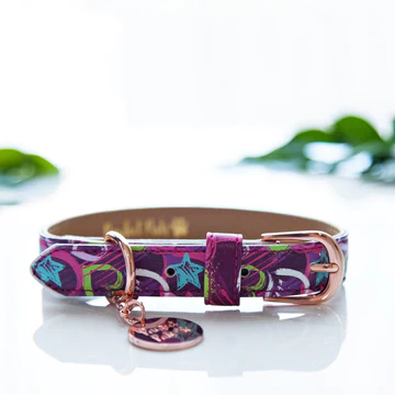 Pawfect Pals Classy, Sassy & A Littly Bad-Assy Vegan Leather Dog Collar - Size S Only