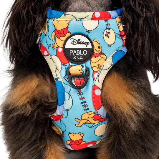 Pablo and Co Dog Harness - Pooh's Balloons